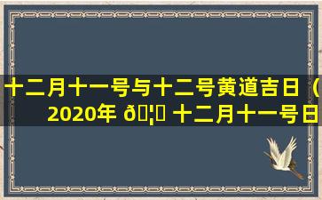 十二月十一号与十二号黄道吉日（2020年 🦍 十二月十一号日子好不好）